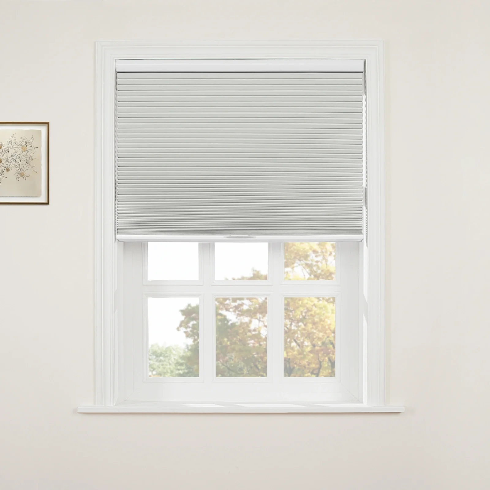 Aura Blackout Cellular Window Shades Cordless - Image 27