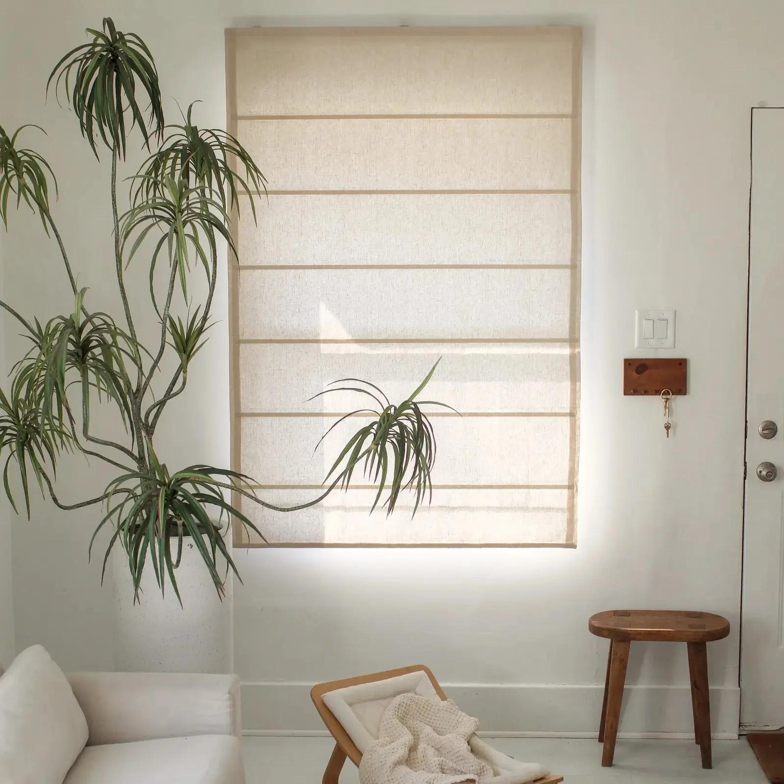 Motorized Roman Shade Cordless - Image 5