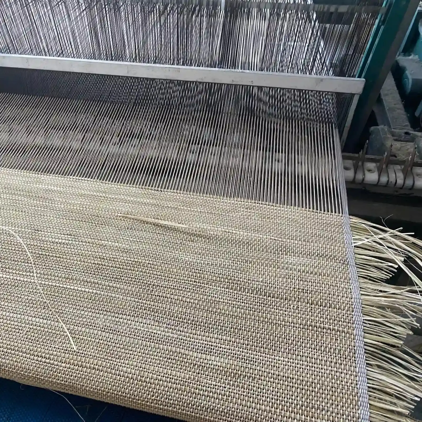 Lay Natural Ramie Bamboo Woven Shade - Beige - Image 24